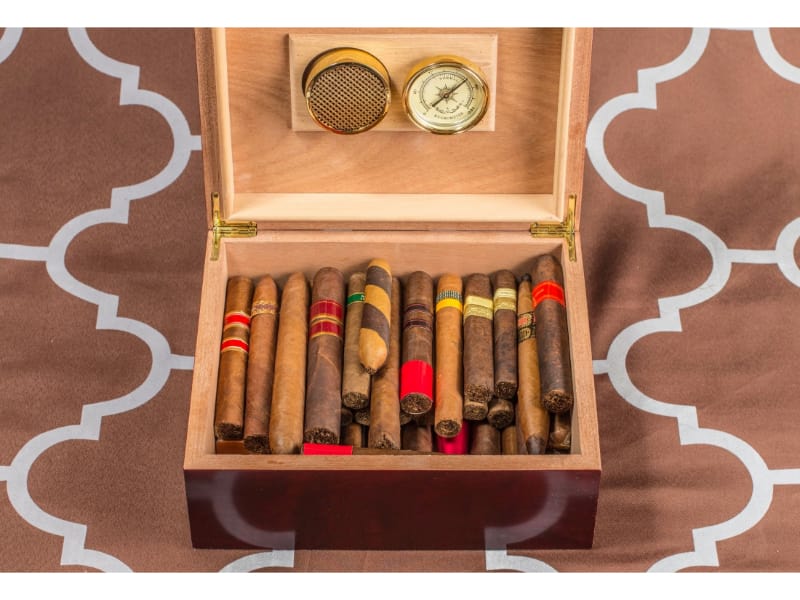 Virkelig Diskutere album Effects of Storing Cigars Without a Humidor - Your Elegant Bar