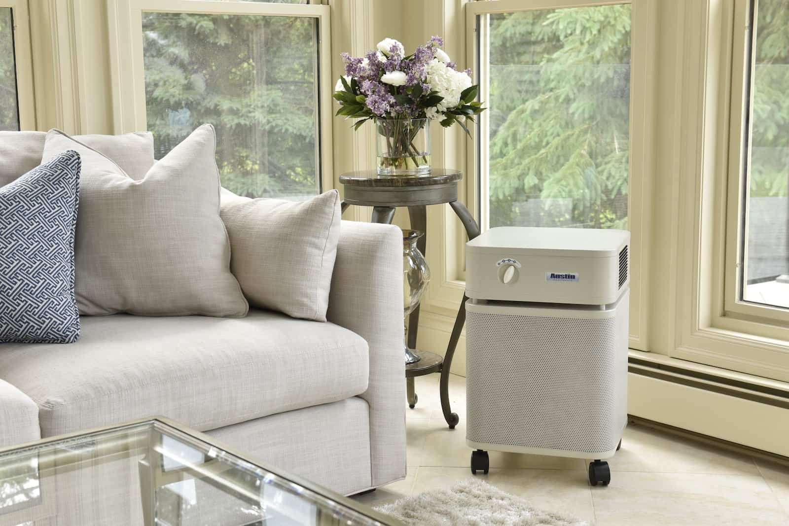 Austin Air Healthmate HEPA Filter Air Purifier - Your Elegant Bar