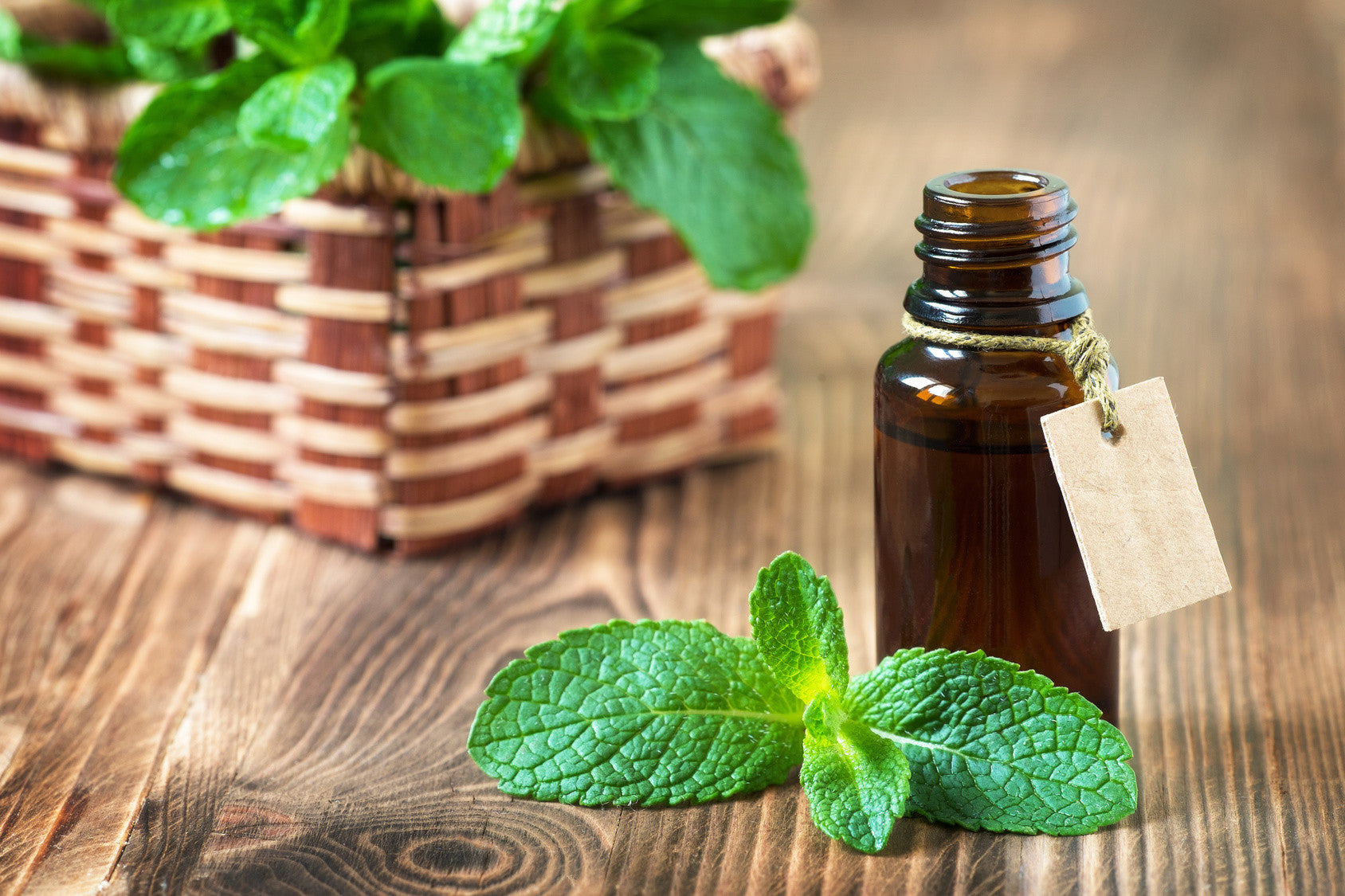 peppermint essential oil