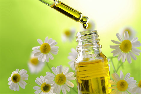 Roman Chamomile Essential Oil for Restless Leg Syndrome