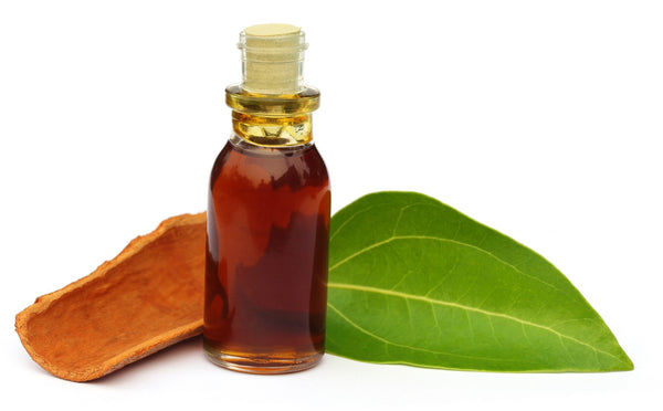 A glass bottle filled with dark oil next to a piece of a cinnamon stick and a leaf