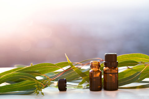 Eucalyptus leaves sit on a table with two small amber-colored bottles filled with oil