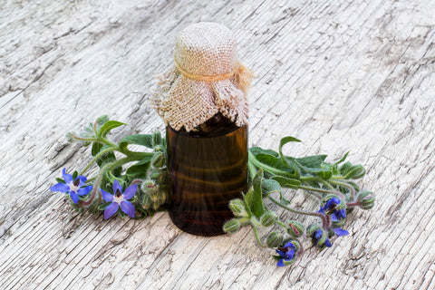 Top Five Oils for Reducing the Appearance of Scars – ESTAS