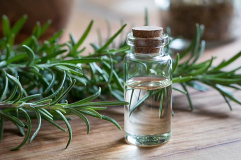 A clear bottle with a cork top filled with oil surrounded by rosemary leaves