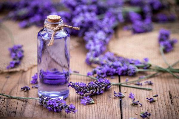 A glass bottle with a cork top sits on a wooden table with lavender surrounding it