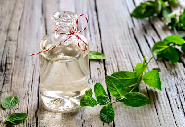 A clear bottle sits on a wooden table with oil in it surrounded by peppermint leaves