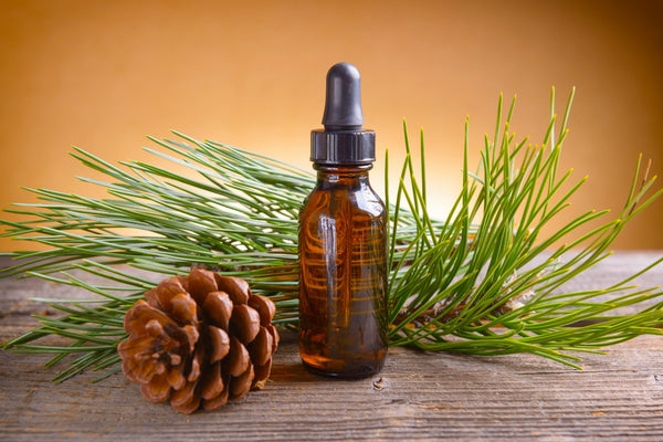 An amber-colored bottle sits in on a wooden table with a pine cone and pine needles