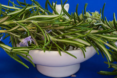 Rosemary Essential Oil For Hair Growth