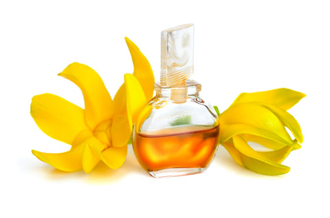ylang ylang essential oil for stress