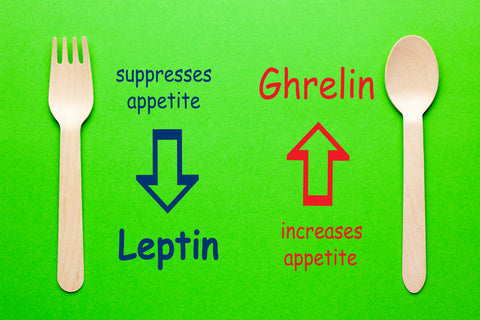 appetite control hormones