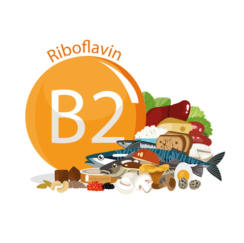 riboflavin vit b2