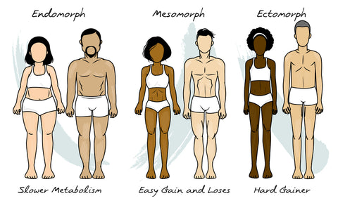 Somatotypes Explained: What's an Ectomorph, Endomorph, and Mesomorph
