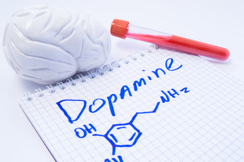 brain dopamine