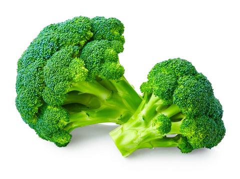 broccoli florets with white background