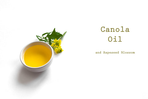 canola oil