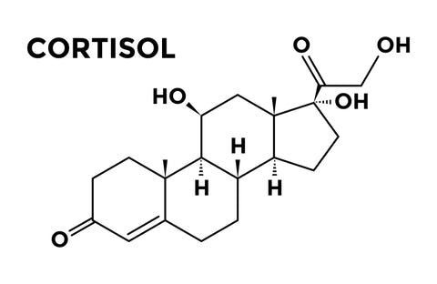 cortisol structural formula