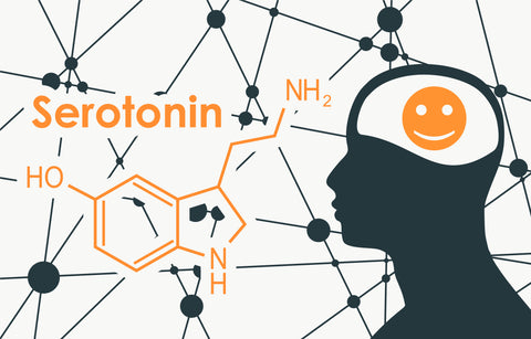 depression and serotonin in the brain