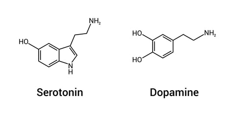 endorphins serotonin and dopamine