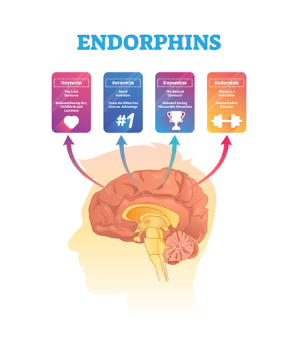 endorphins