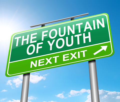 funny fountain of youth next exit sign