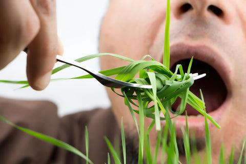 funny man eating grass