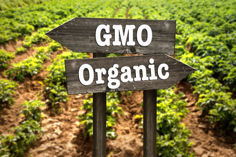 gmo vs organic foods