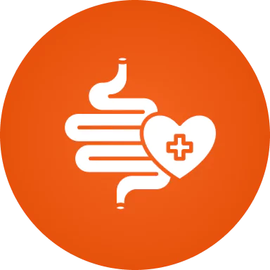 Stylized intestines and heart with a medical cross on an orange circular background.