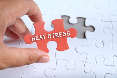 heat stress