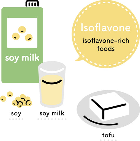 isoflavones