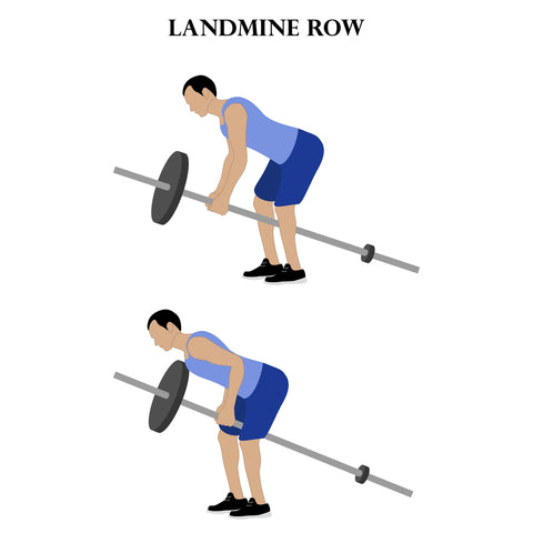 the landmine row