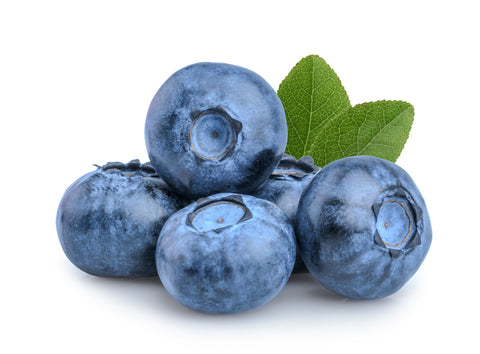 large blueberries on white background