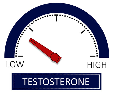low testosterone gauge