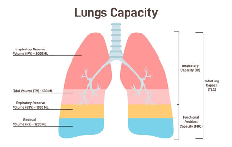 lung capacity