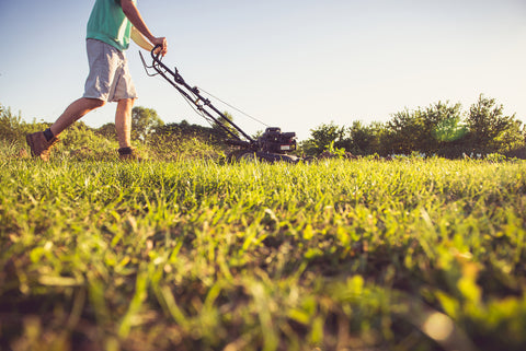 man mowing the lawn