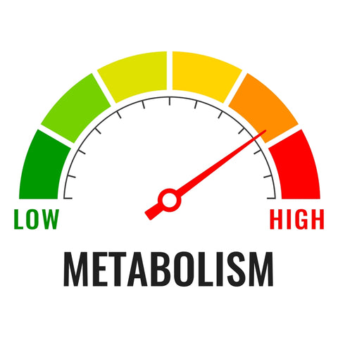 metabolic gauge