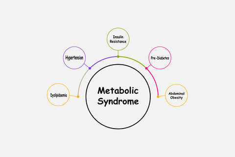 metabolic syndrome interplay