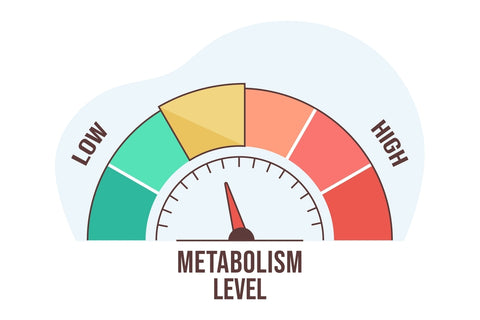 metabolism level radar