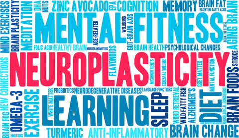 neuroplasticity word cloud