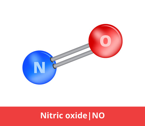 nitric oxide molecule