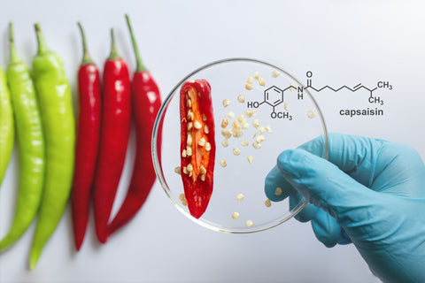 capsaicin from chili peppers