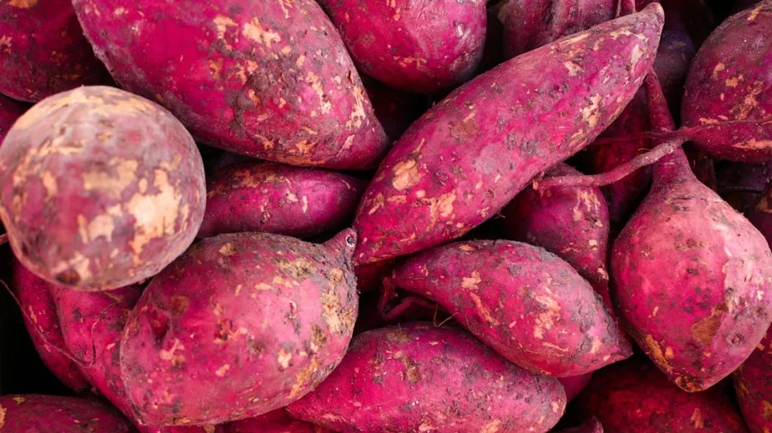 Close-up of freshly harvested sweet potatoes with dirt.