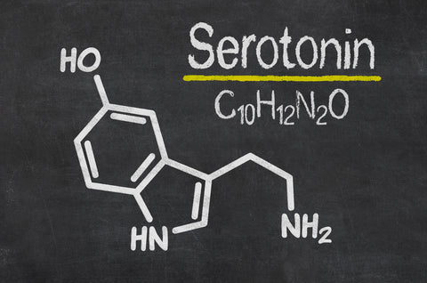 serotonin structure