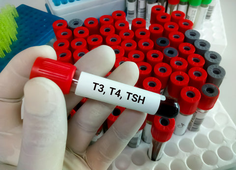 thyroid hormones