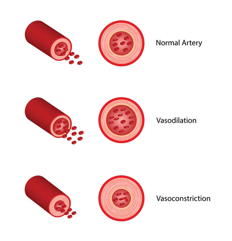 vasodilation