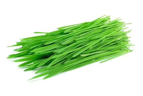 organic wheatgrass