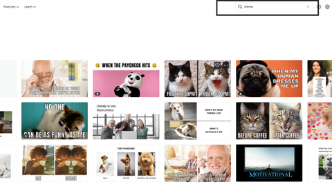 Canva Search For MEMES