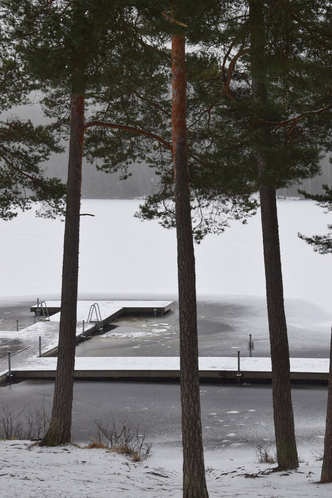 Avanto swimming + Finnish sauna = the perfect match