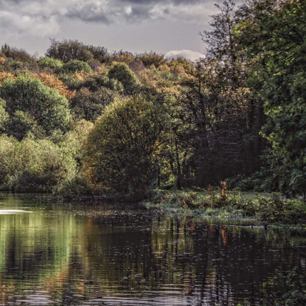 Northern Ireland Scenery