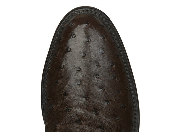 lucchese zane