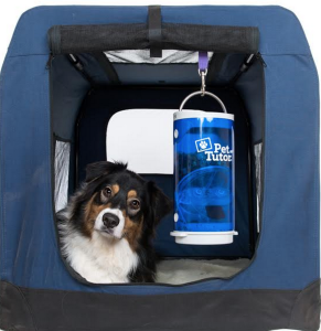 Pet Tutor in soft sided crate